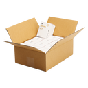 [Bulk] UMF 20+ (MGO 830+) Manuka Honey - 12 Case